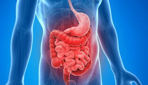 i (14)
